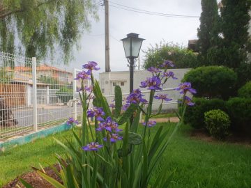 Casa no Bairro Brasil Itu com Su�tes e Estrutura Completa